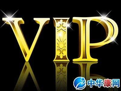 vip 意思|VIP中文，VIP的意思，VIP翻譯及用法